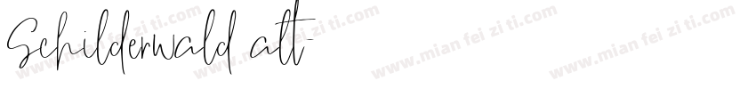 Schilderwald alt字体转换
